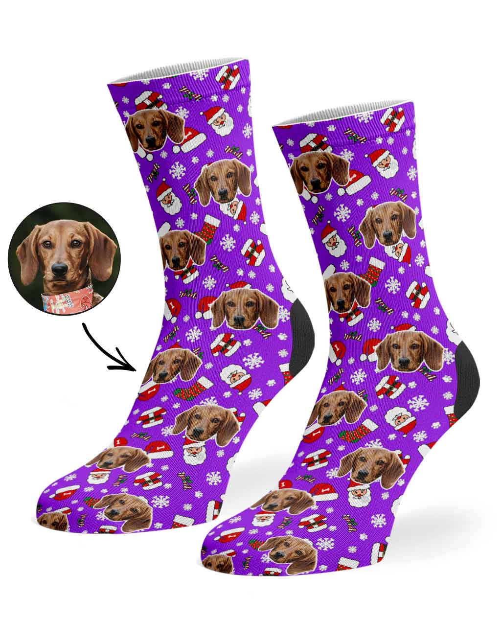 Festive Dog Santa Socks
