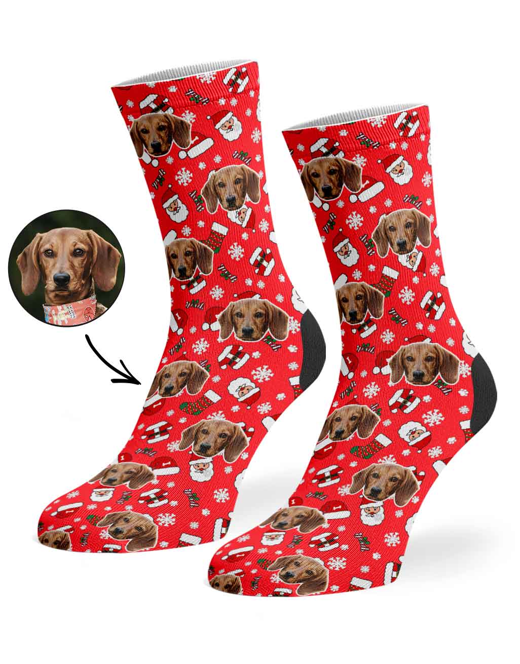 Festive Dog Santa Socks