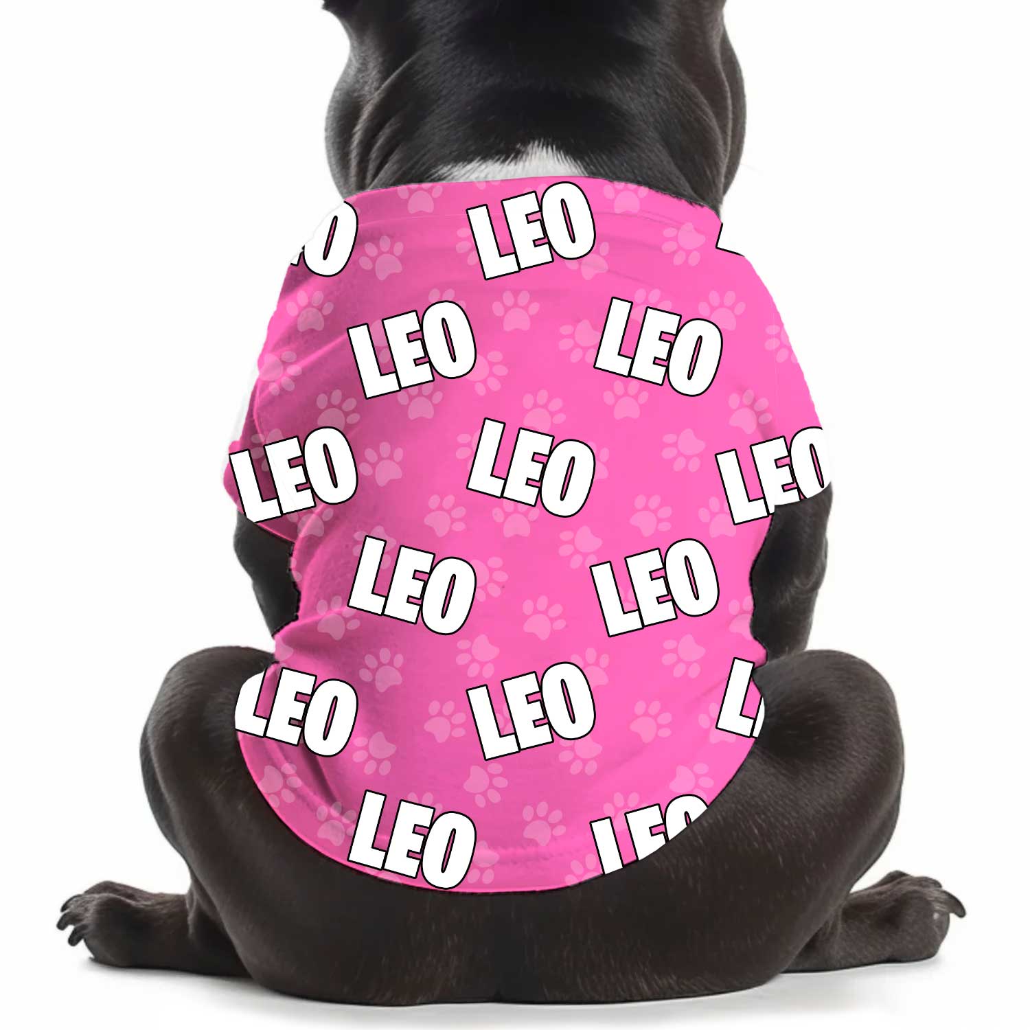 Dog Name Paw Print Personalised Dog T Shirt