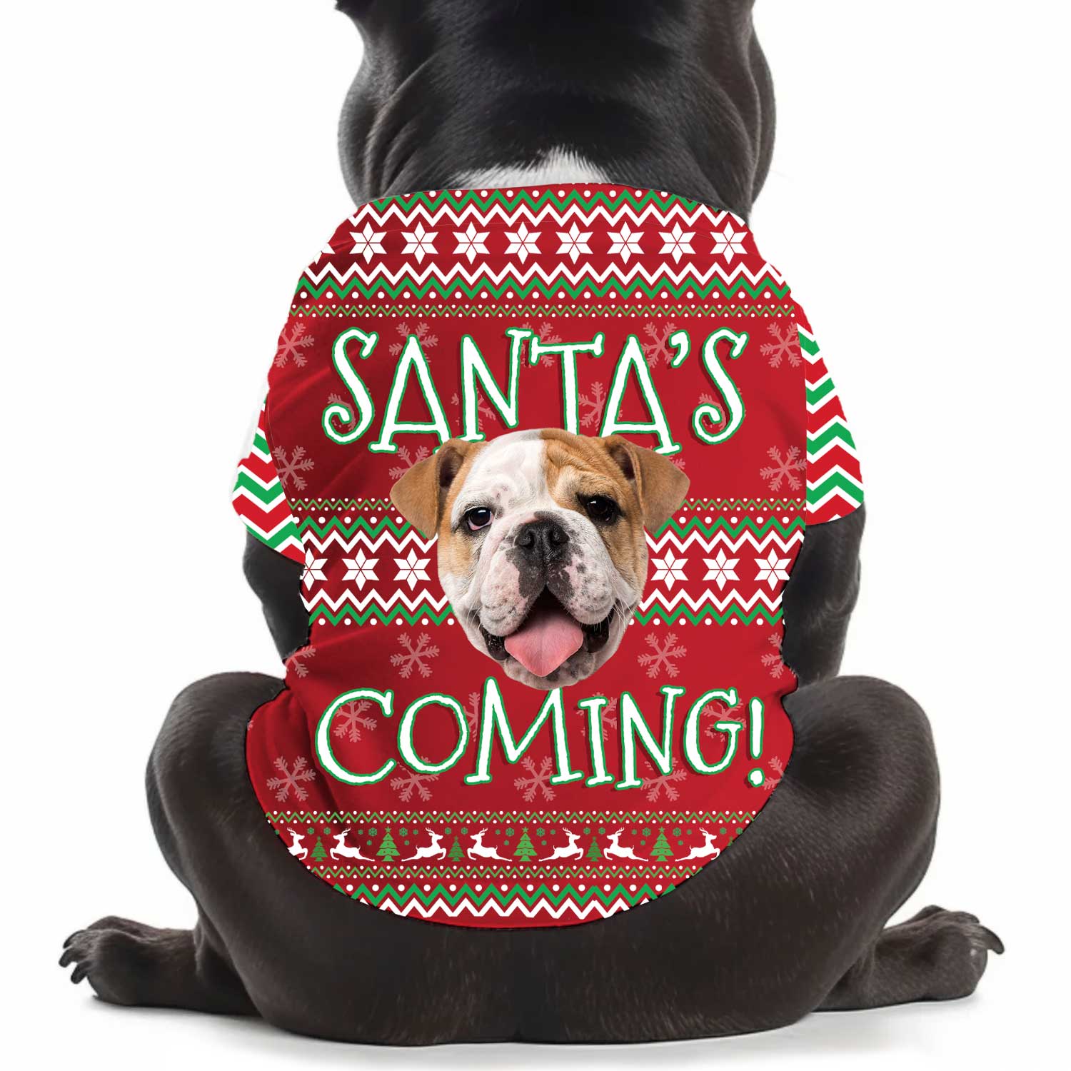 Santa's Coming! Christmas Printed Personalised Dog T Shirt
