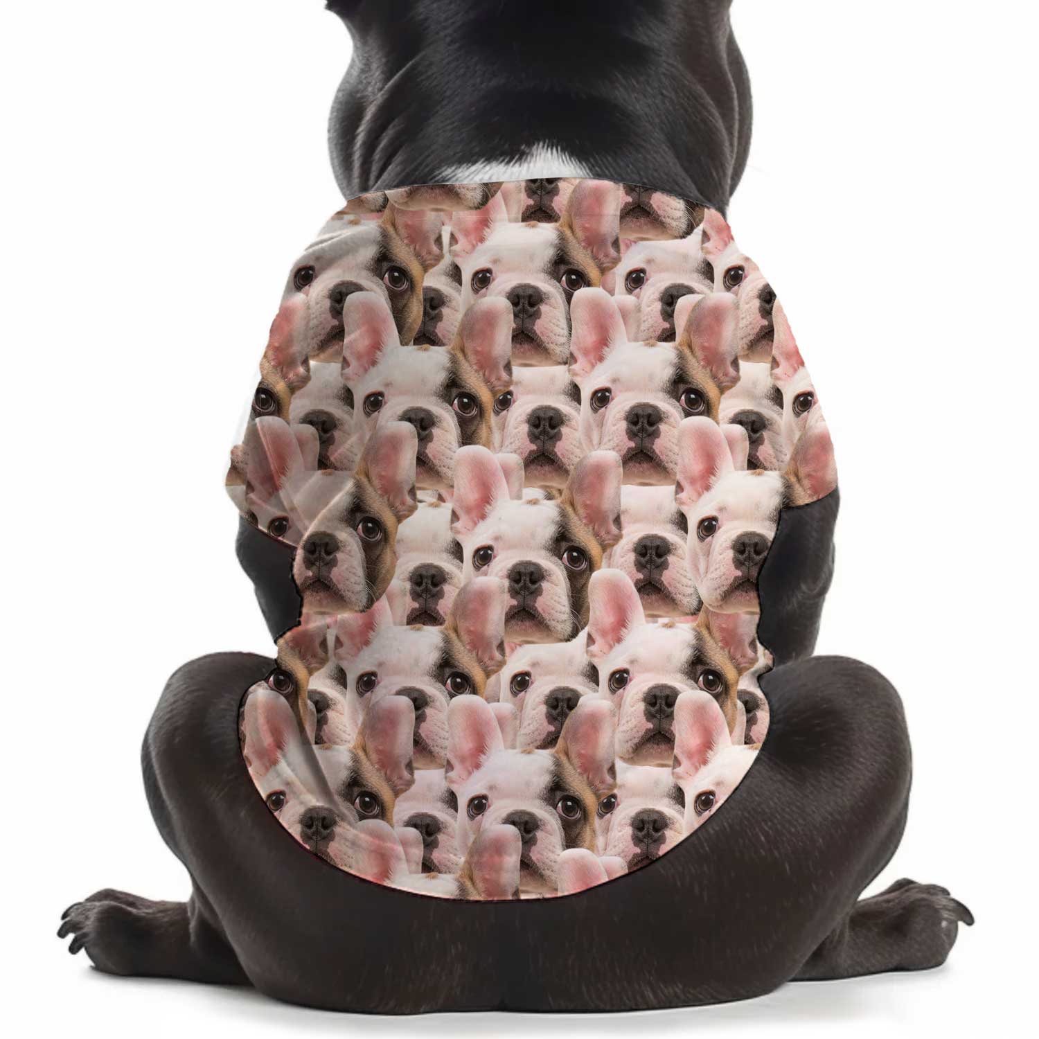 Personalised Dog T Shirt