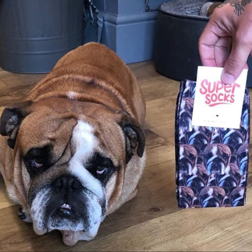 Dog Mash Socks