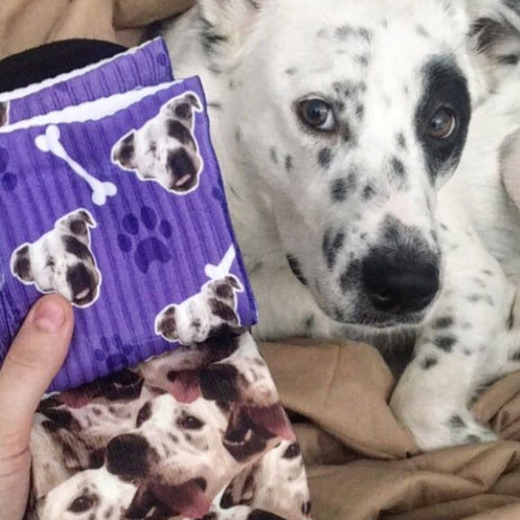 Dog Mash Socks