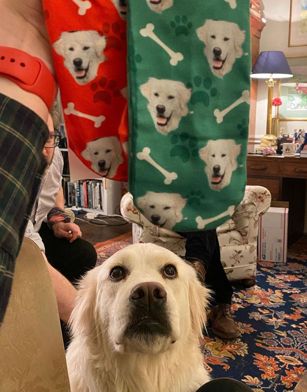 personalised-dog-socks