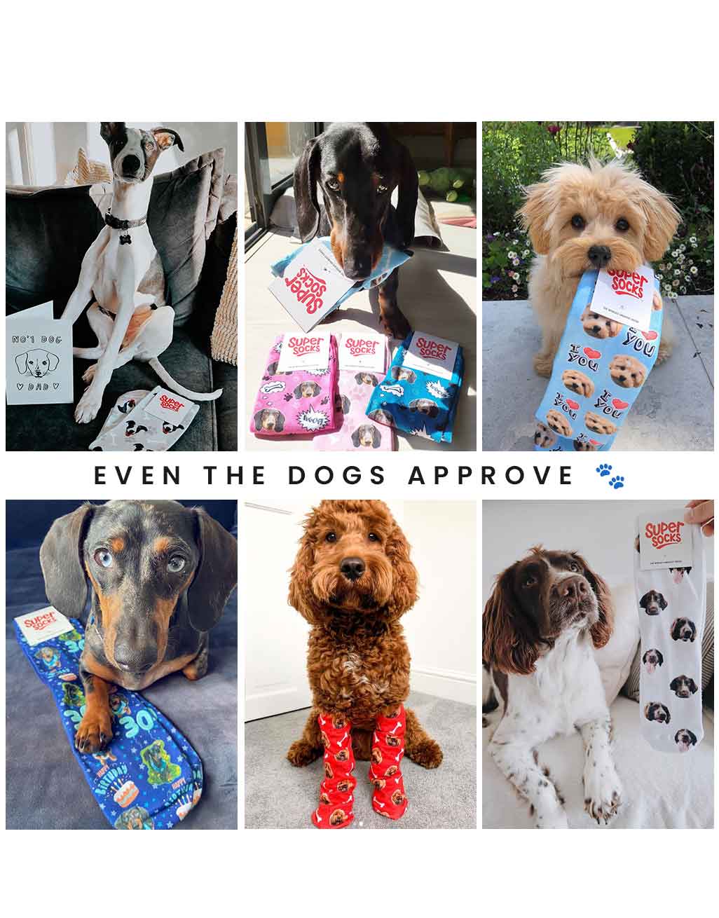Face Socks