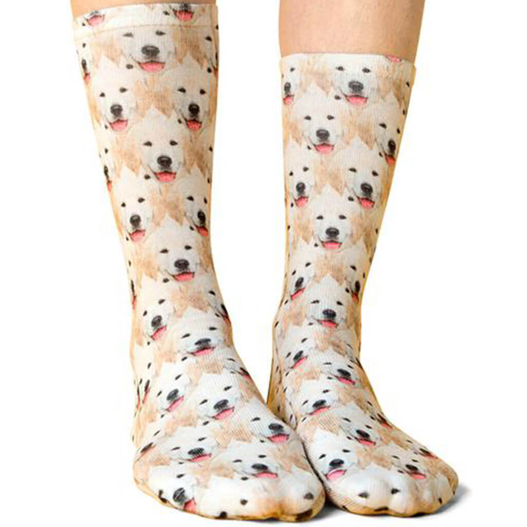 Dog Mash Socks