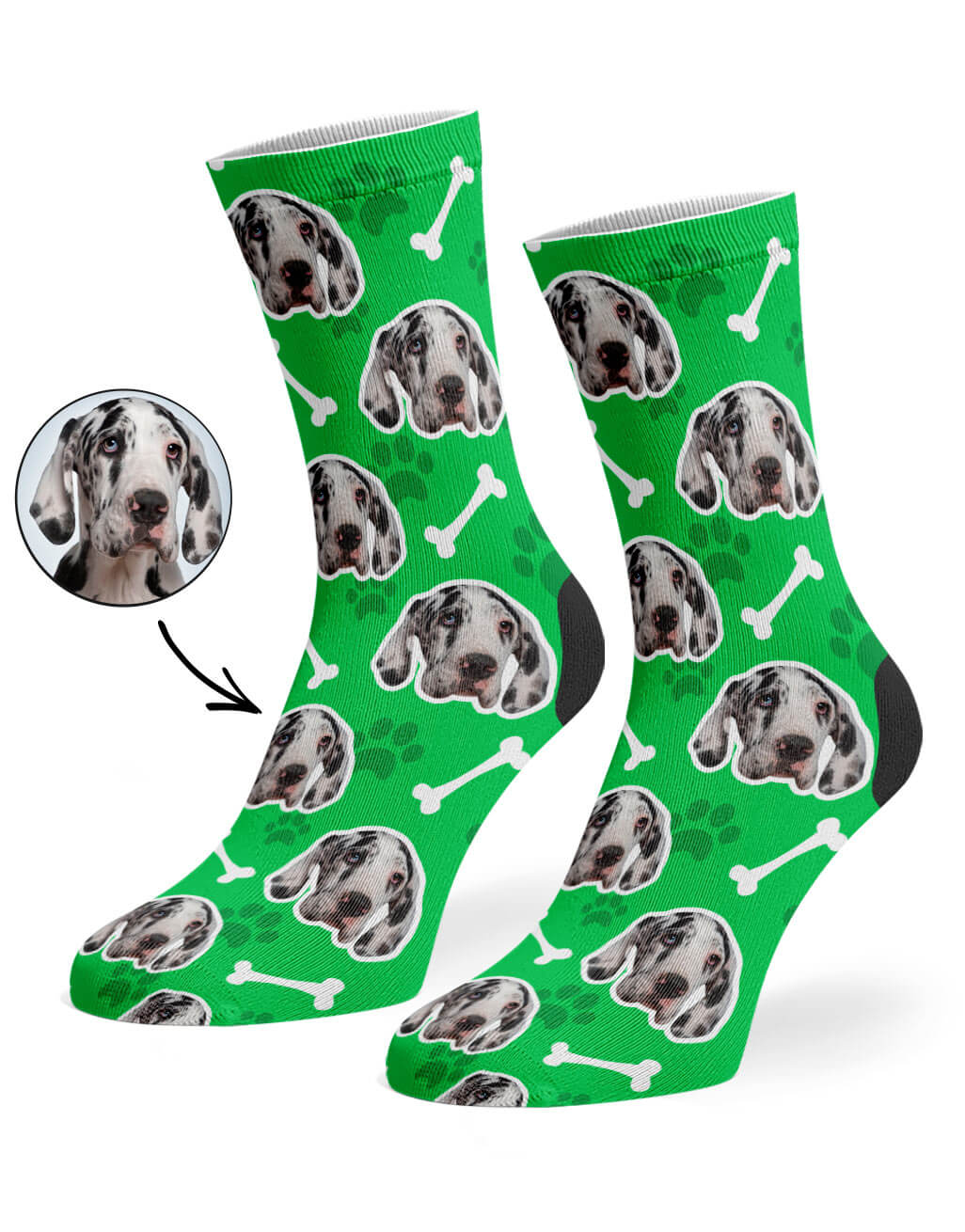 Green Your Dog Socks