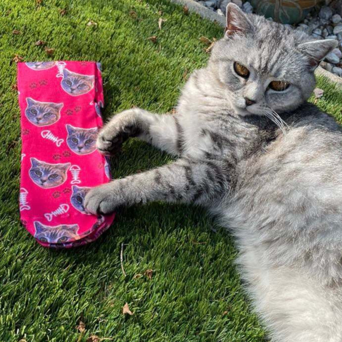 Your Cat On Socks
