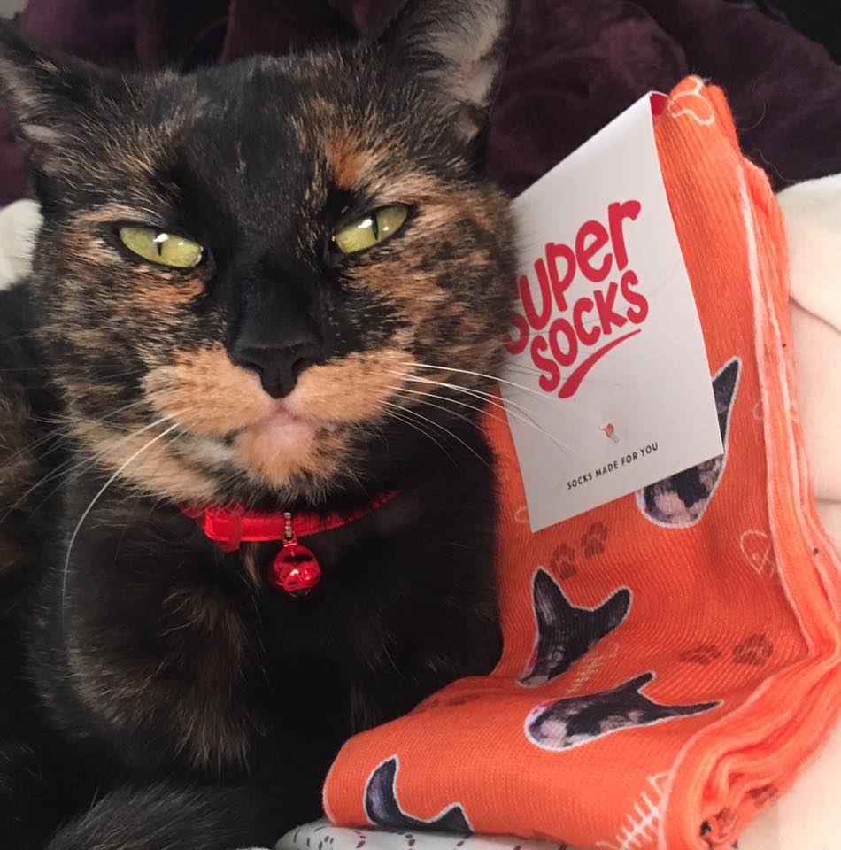 Your Cat Personalised Socks