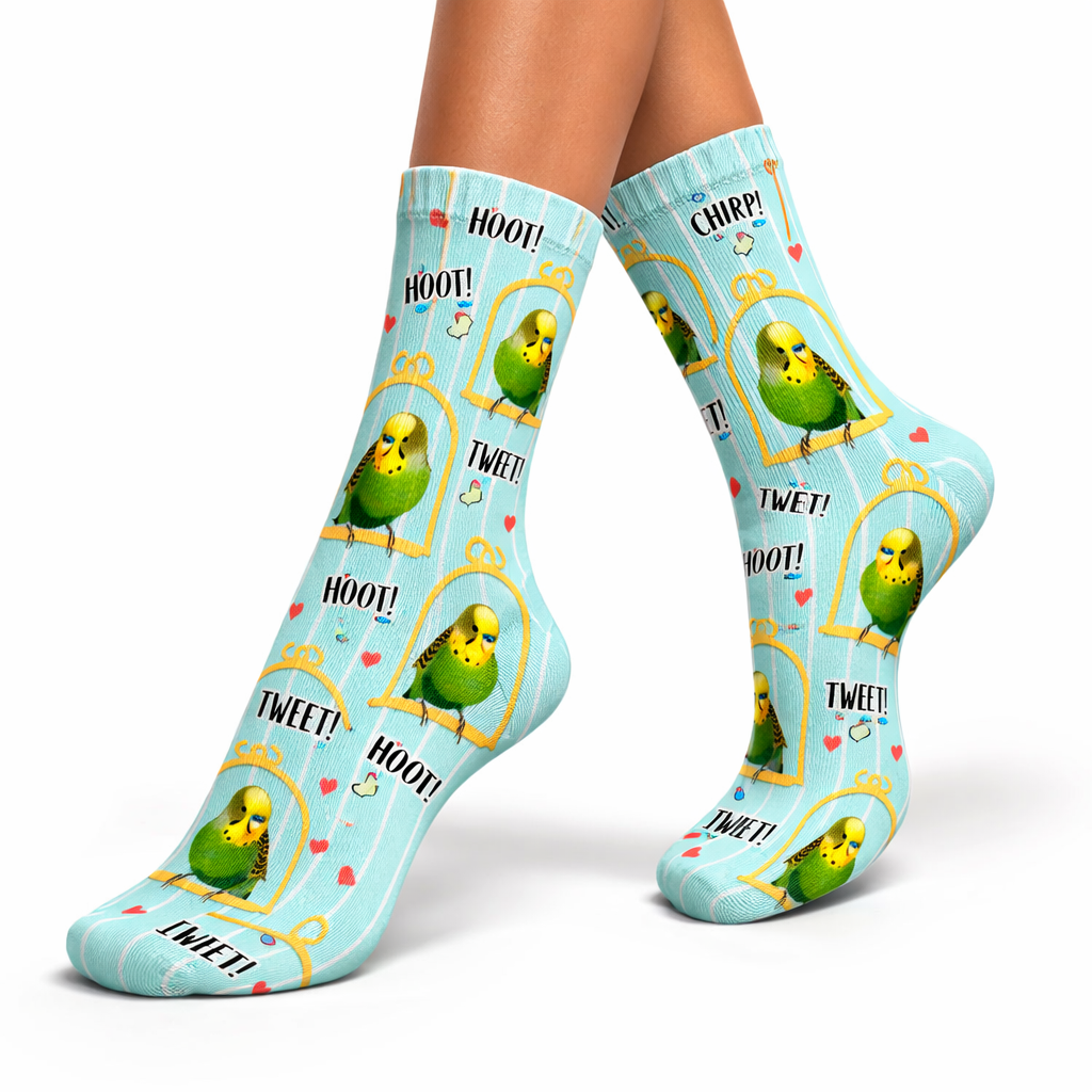 Bird Cage Socks