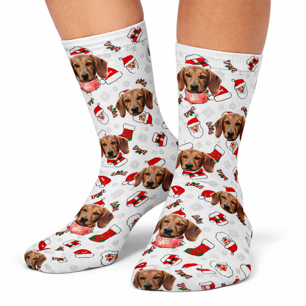 Festive Dog Santa Socks