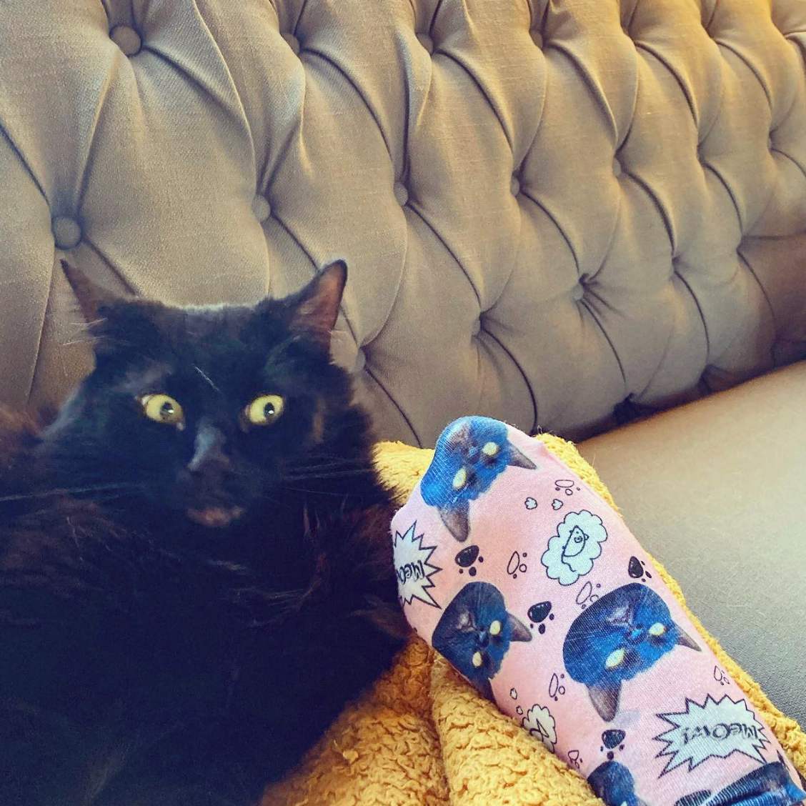 Your Cat Meow Socks