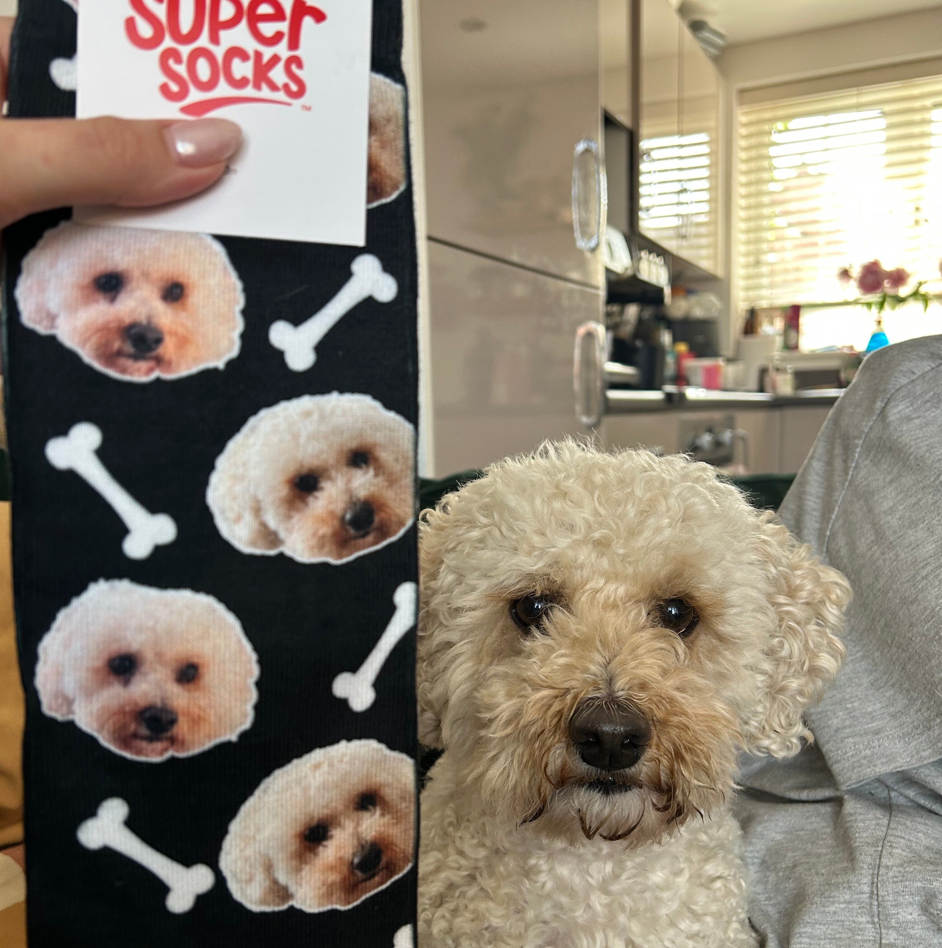 Dog & Owner Socks