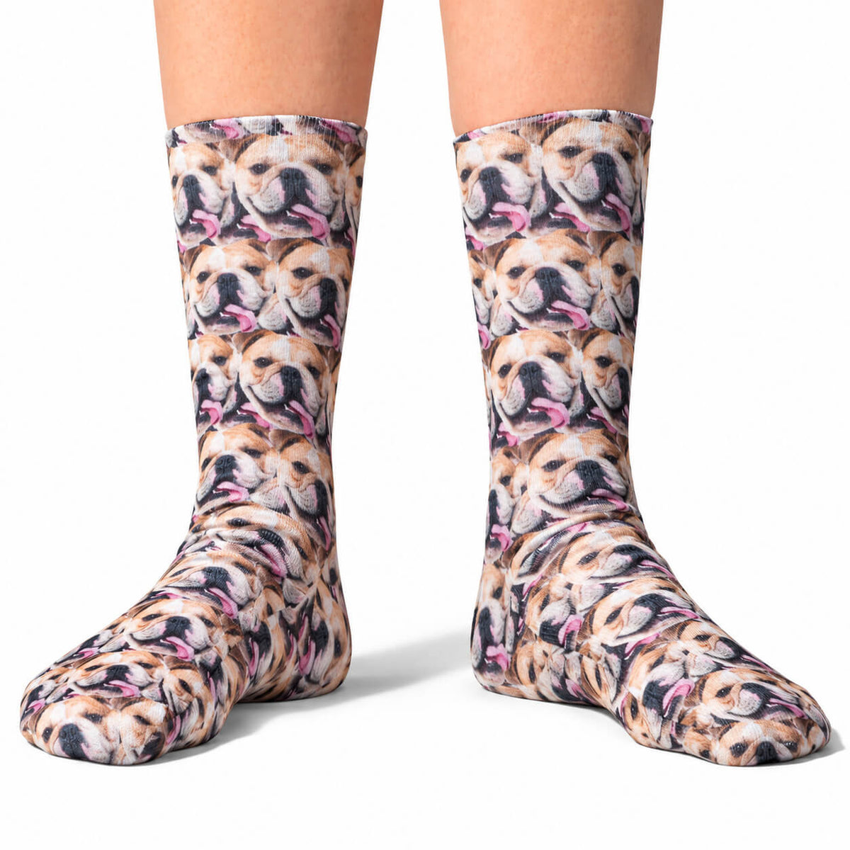Pet Mash Up Socks