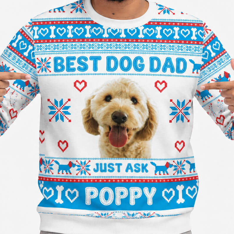 The Best Dog Dad Personalised Christmas Jumper