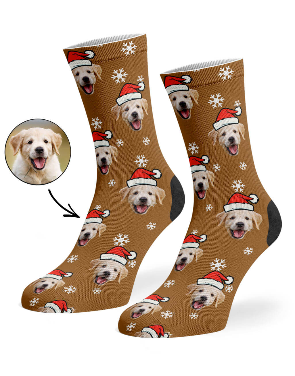Christmas dog socks online