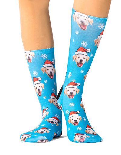 Christmas Dog Socks