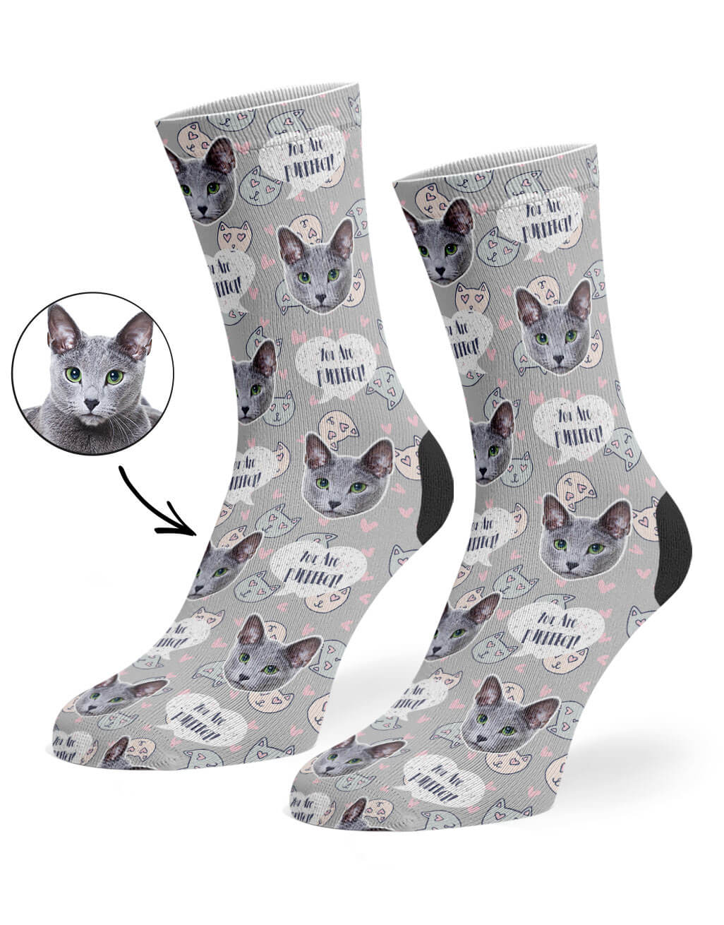 You Are Purrfect Cat Photo Socks
