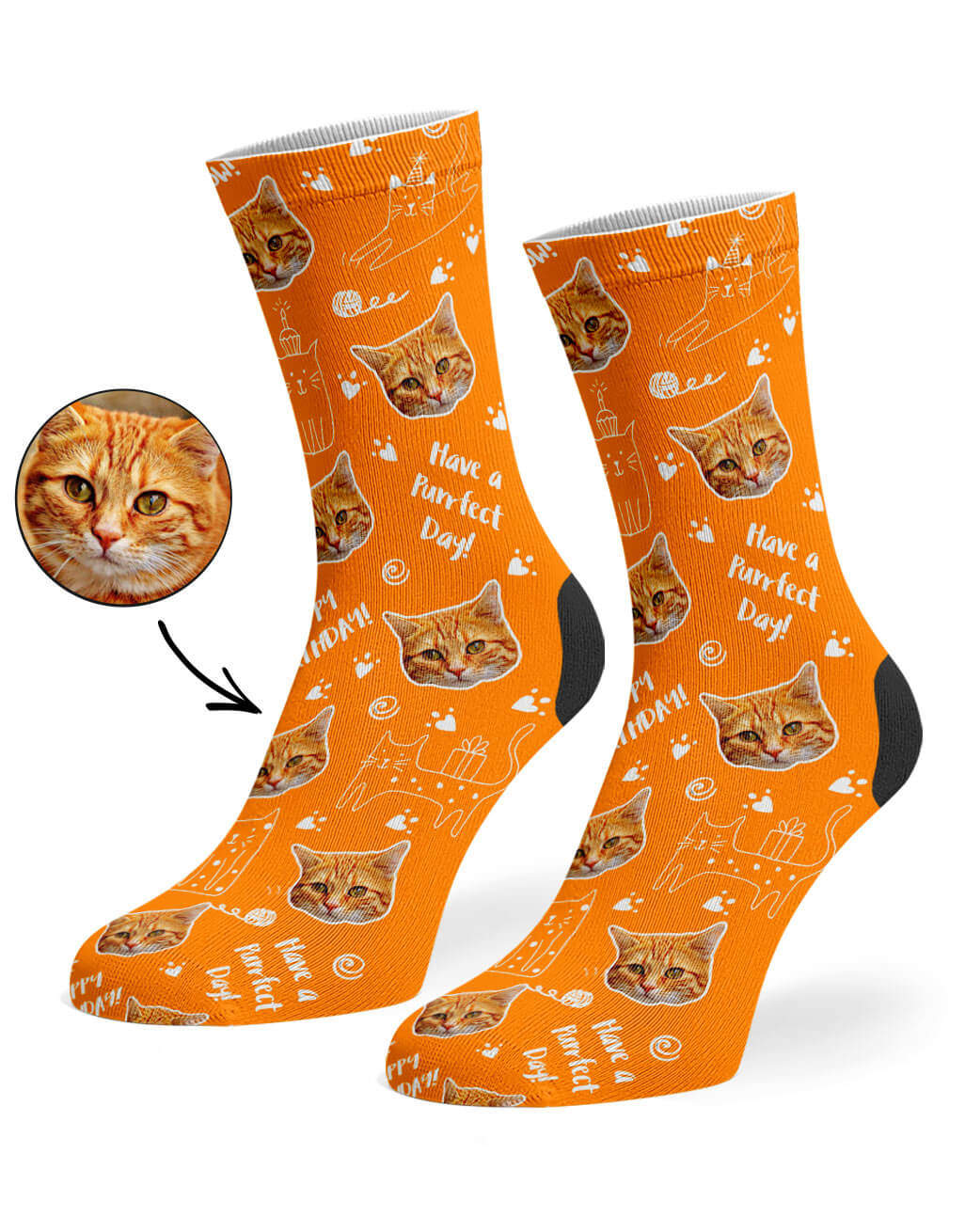 Funny Birthday Cat Socks