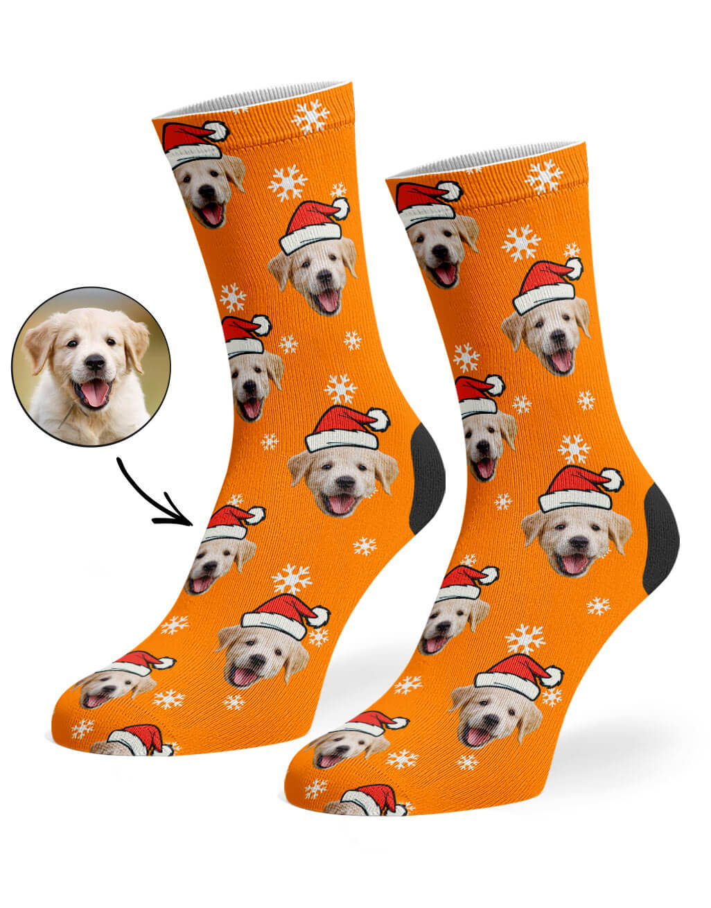 Christmas dog socks outlet