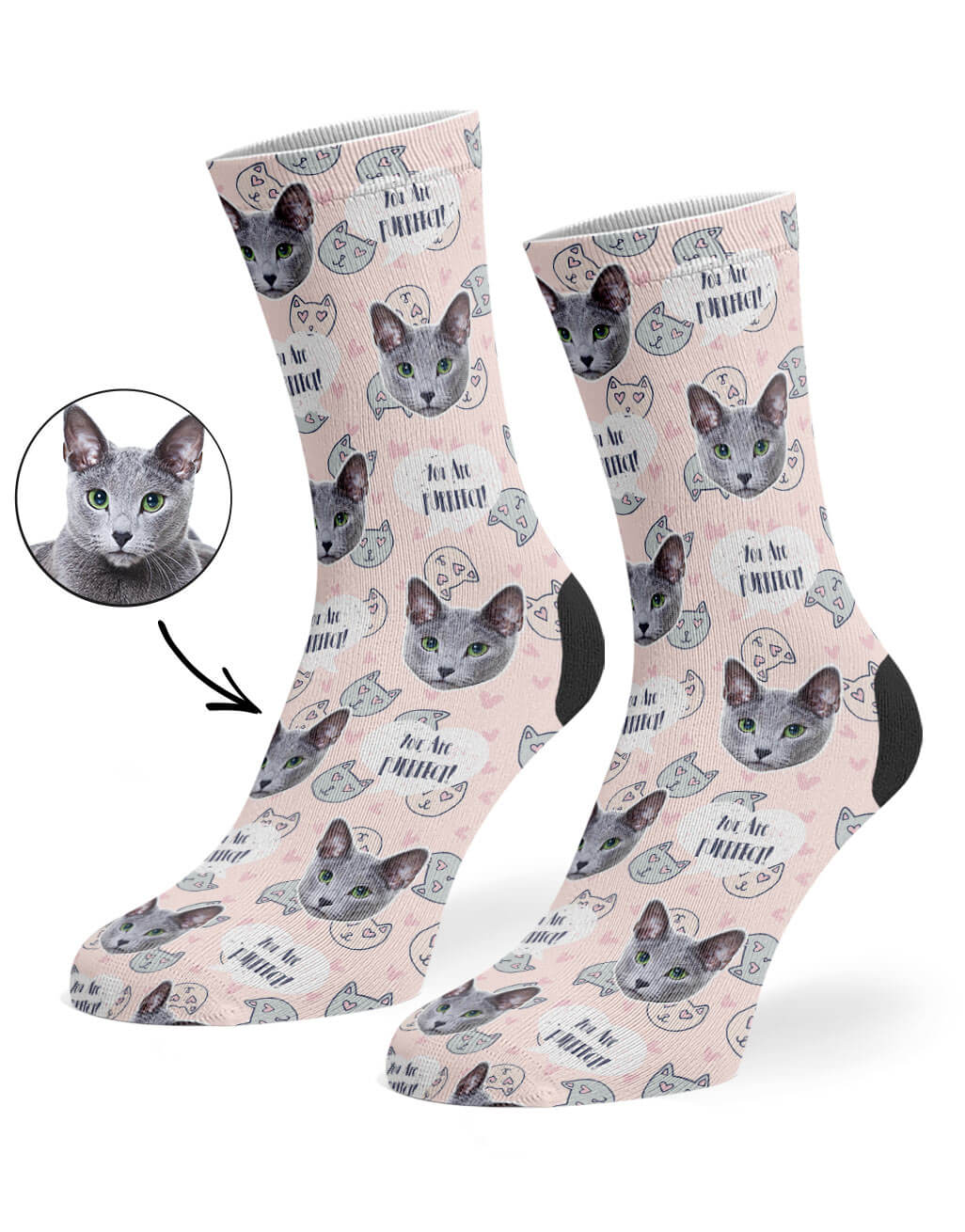 You Are Purrfect Socks With Cats Photo