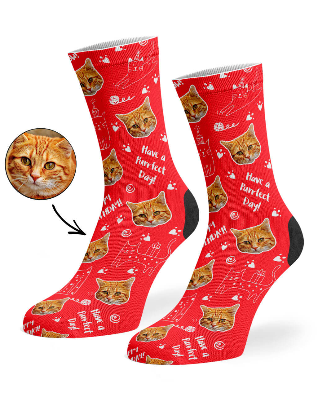 Birthday Cat Socks Present