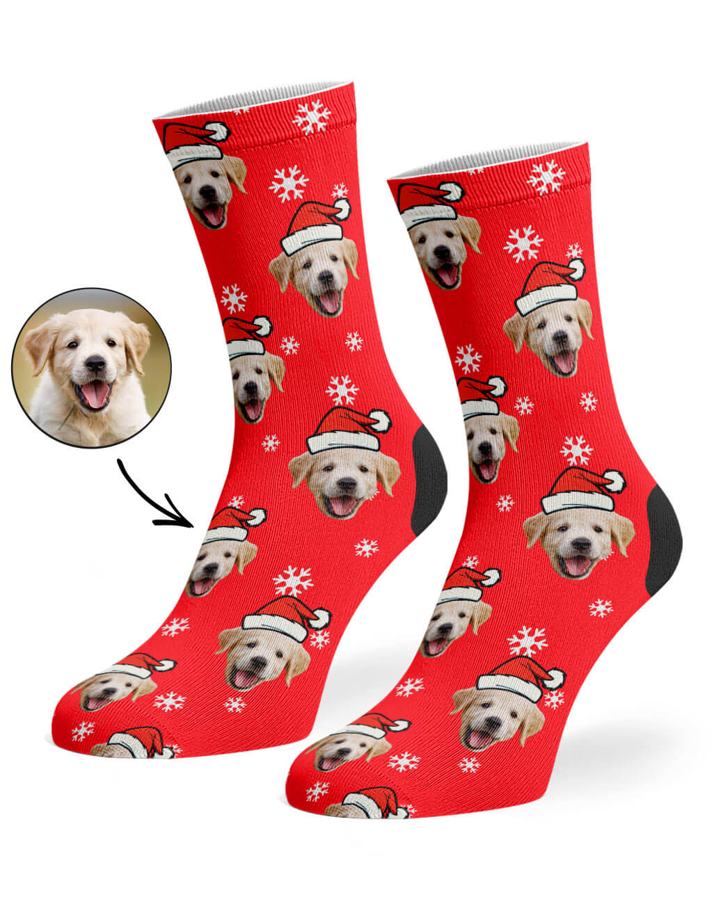 Christmas dog socks outlet