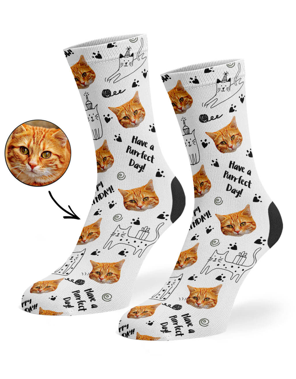 Birthday Your Cat On Socks