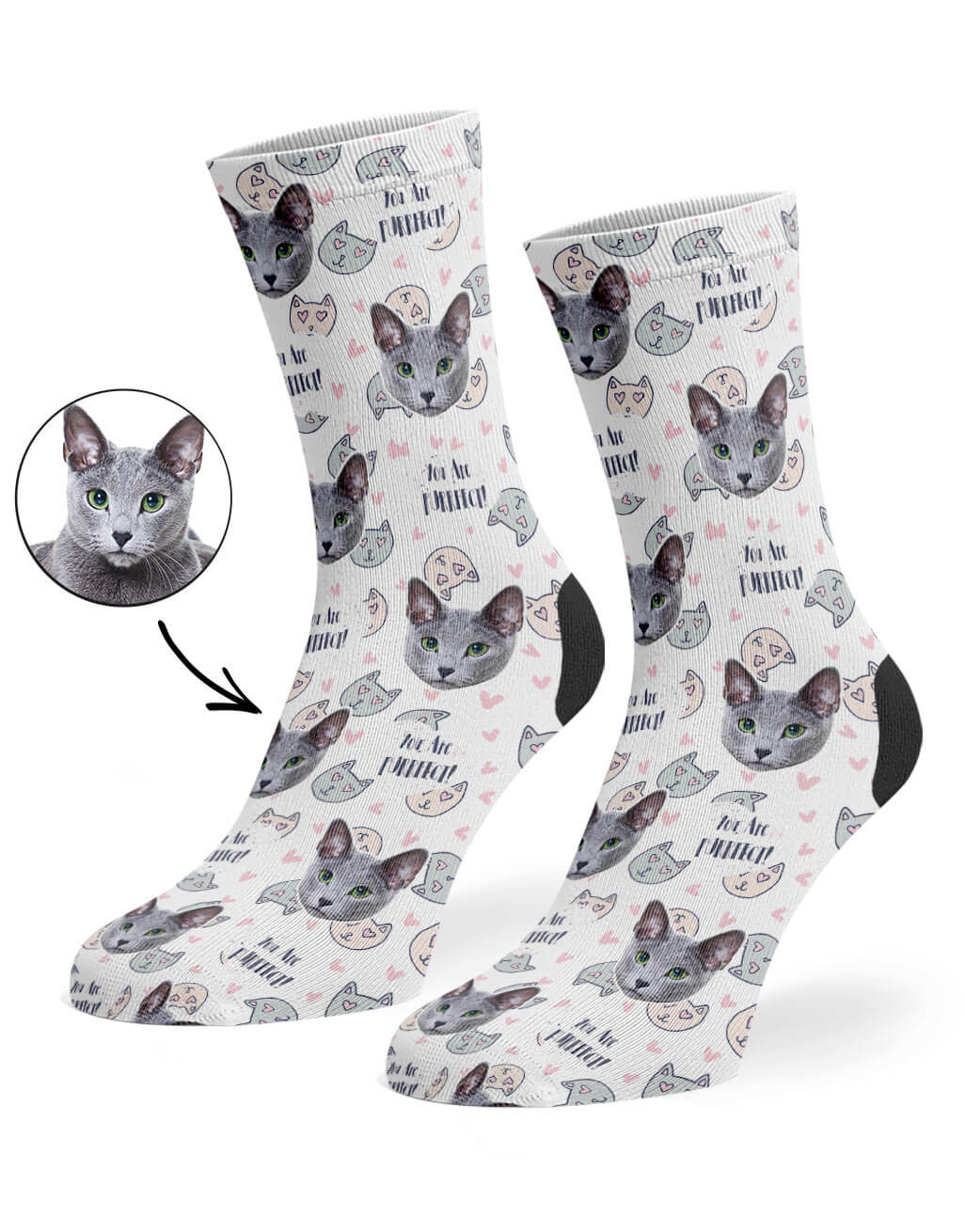 Cats Photo On You Are Purrfect Socks