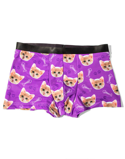 Your Cat on Boxers
