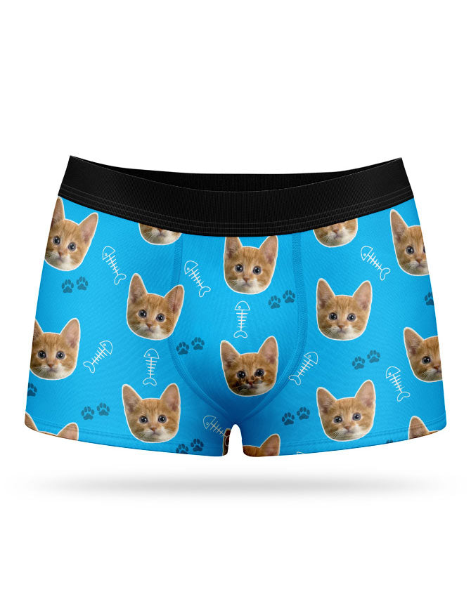 My Cat on Boxers