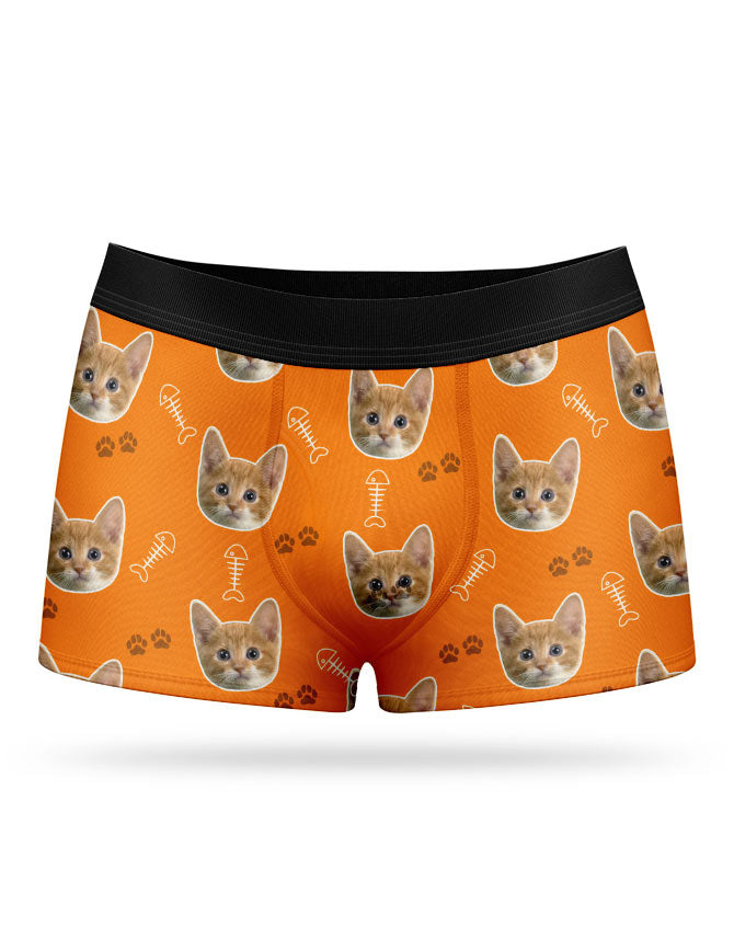 My Cats Photo on Boxers