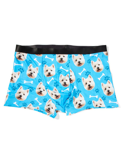 Your Dog on Boxers